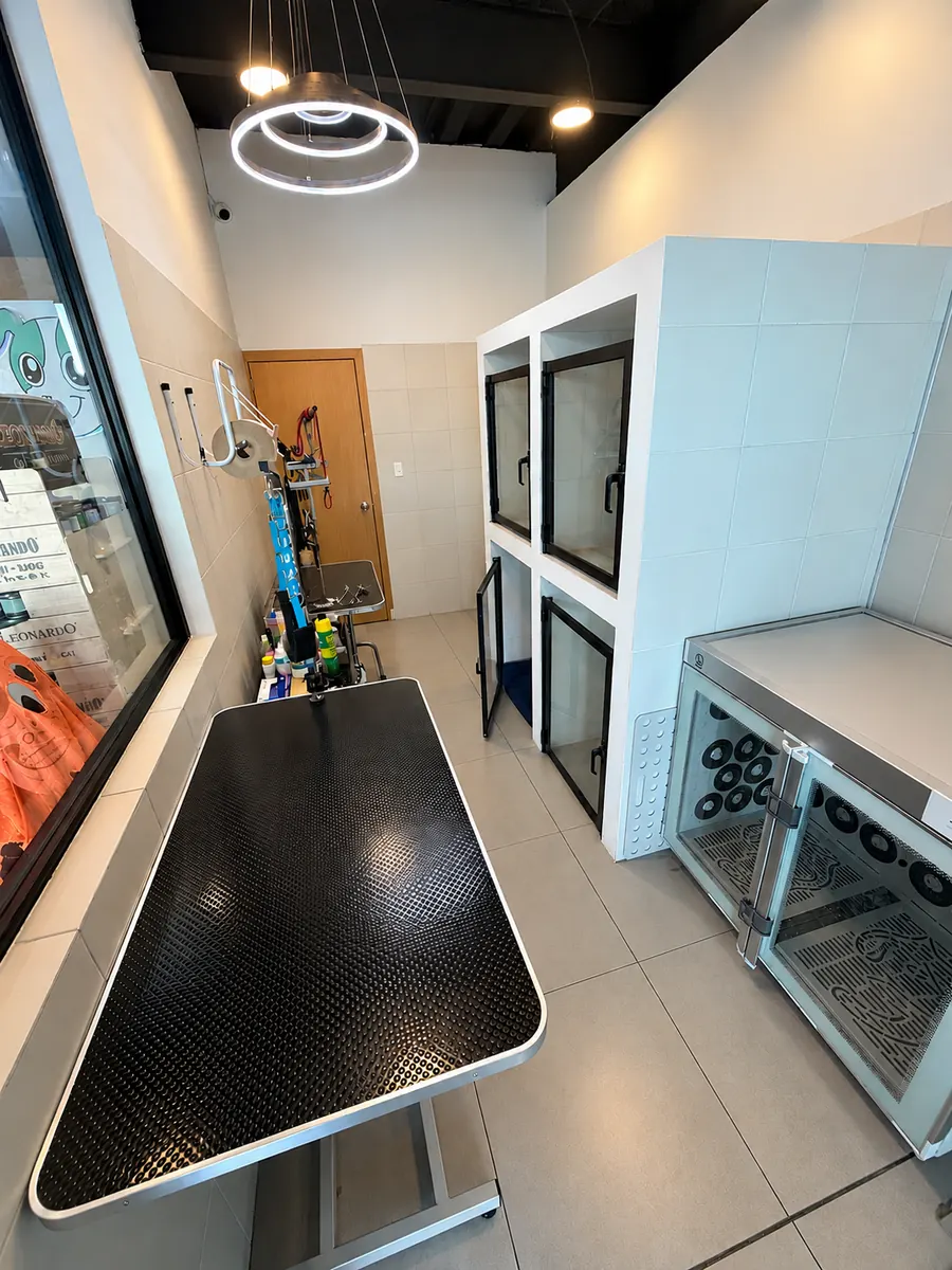 Sala de peluquería con mesa de grooming, jaulas y secador